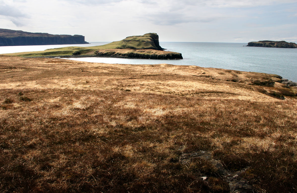 oronsay